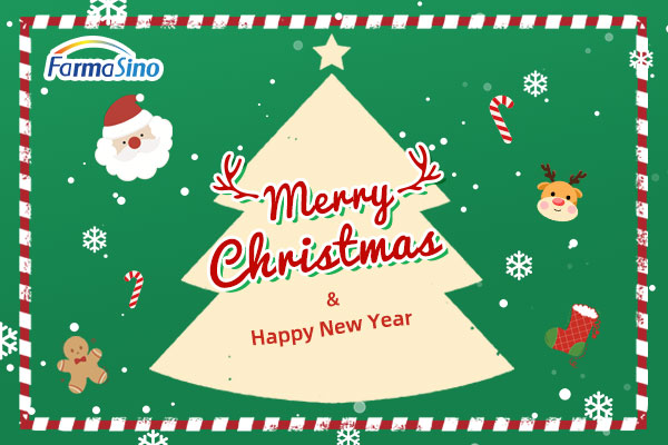 Merry Christmas 2025!