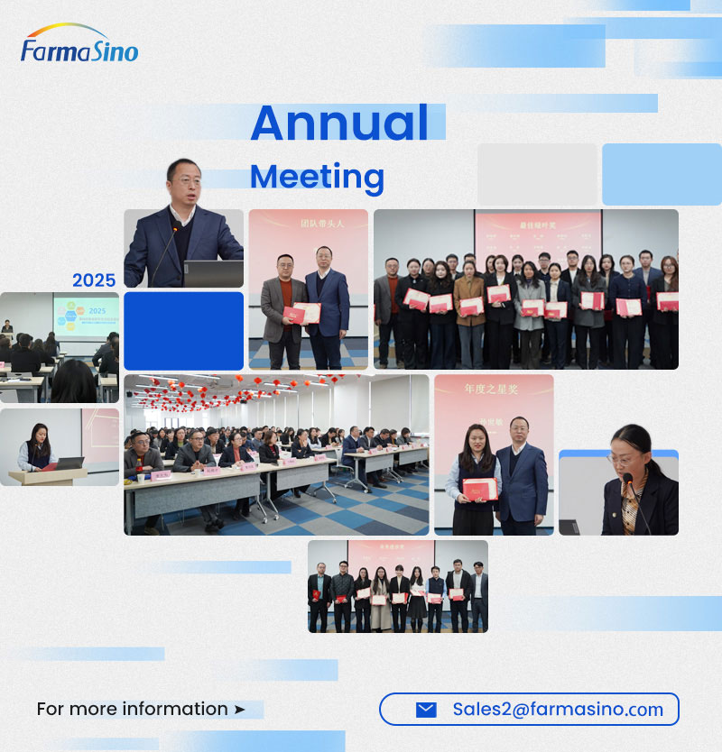 Farmasino Hosts 2025 Year-End Review and Awards Ceremony